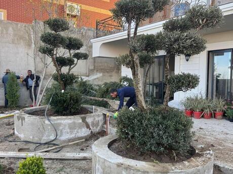 5 otaqlı həyət evi/bağ evi - Badamdar q. - 330 m²