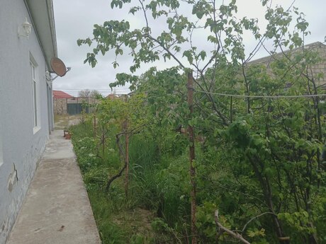 4 otaqlı həyət evi/bağ evi - Nardaran q. - 200 m²