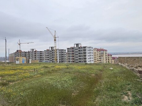 Torpaq - Masazır q. - 8 sot