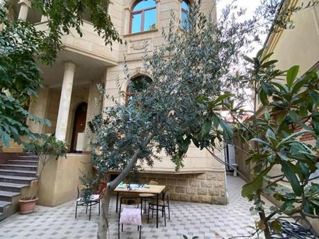 6 otaqlı həyət evi/bağ evi - Nəsimi m. - 500 m²