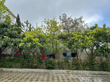 7 otaqlı həyət evi/bağ evi - Masazır q. - 220 m²
