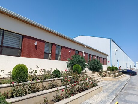 Obyekt - Aşağı Güzdək q. - 1000 m²