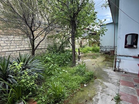 5 otaqlı həyət evi/bağ evi - Göyçay - 90 m²