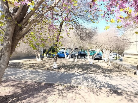Obyekt - Sumqayıt - 68 m²