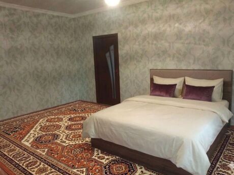 5 otaqlı həyət evi/bağ evi - Bülbülə q. - 250 m²