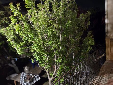 5 otaqlı həyət evi/bağ evi - Mehdiabad q. - 132 m²