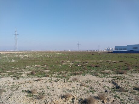 Torpaq - Saray q. - 26.2 sot