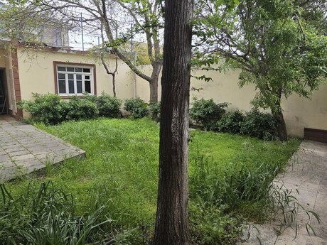 5 otaqlı həyət evi/bağ evi - Binə q. - 120 m²