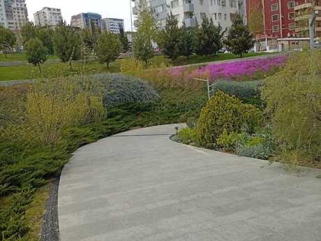 2-room apartment, 65 m², Elmlər Akademiyası: 269 000 ₼ 4