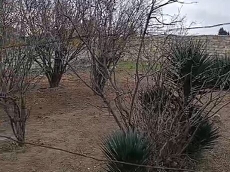 Torpaq - Maştağa q. - 3 sot
