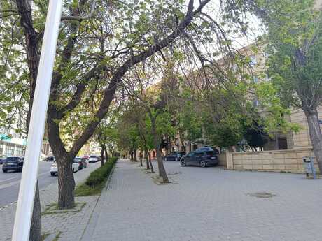 1 otaqlı köhnə tikili - Elmlər Akademiyası m. - 28 m²