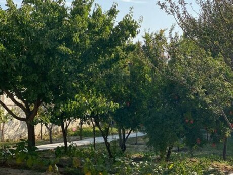 4 otaqlı həyət evi/bağ evi - Novxanı q. - 135 m²