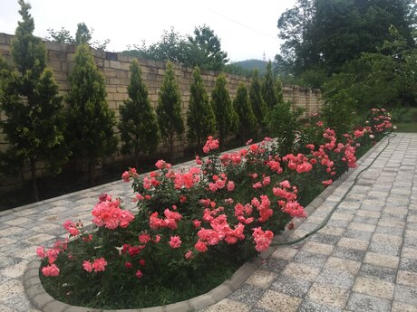 5 otaqlı həyət evi/bağ evi - Quba - 170 m²