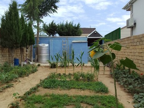 1 otaqlı həyət evi/bağ evi - Abşeron r. - 20 m²