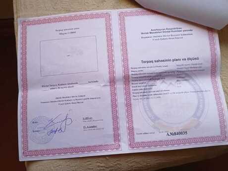 Torpaq - İsmayıllı - 130 sot