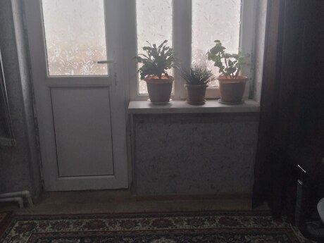 1 otaqlı köhnə tikili - Pirallahı r. - 39 m²