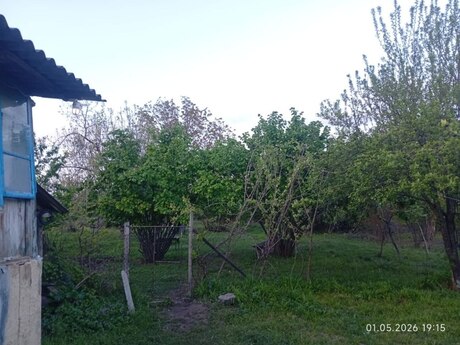 Torpaq - İsmayıllı - 40 sot