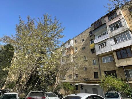 Elan №6104367 - Bakı, Yasamal r., 3 otaqlı, 80 m², 2/5 mərtəbə