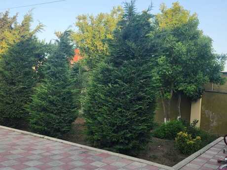 4 otaqlı həyət evi/bağ evi - Buzovna q. - 136 m²