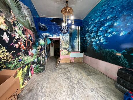 Obyekt - Nizami m. - 55 m²