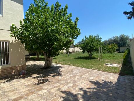 8 otaqlı həyət evi/bağ evi - Novxanı q. - 500 m²