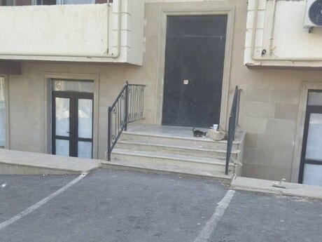 2 otaqlı köhnə tikili - Binəqədi r. - 90 m²