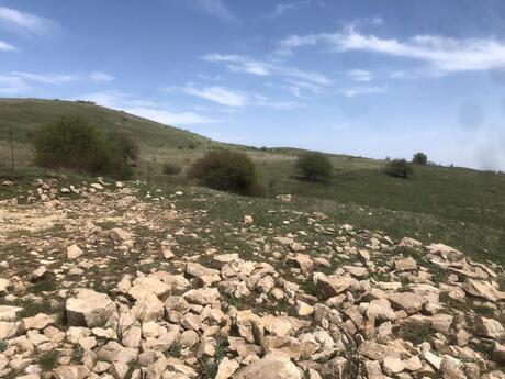 Torpaq - Şamaxı - 90 sot