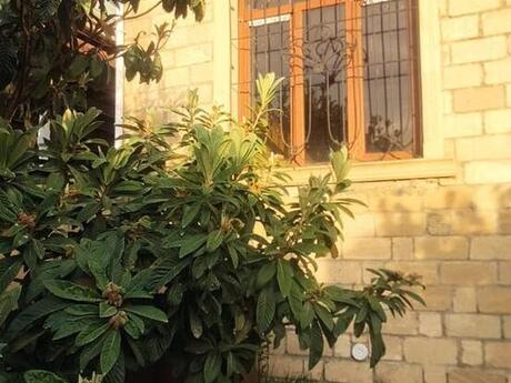 4 otaqlı həyət evi/bağ evi - Gəncə - 140 m²