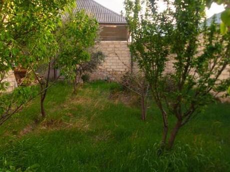 4 otaqlı həyət evi/bağ evi - Gəncə - 140 m²