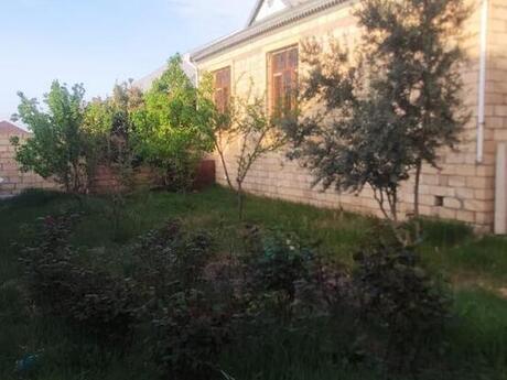 4 otaqlı həyət evi/bağ evi - Gəncə - 140 m²