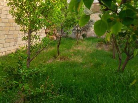 4 otaqlı həyət evi/bağ evi - Gəncə - 140 m²