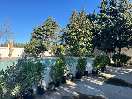 9 otaqlı həyət evi/bağ evi - Pirşağı q. - 450 m²