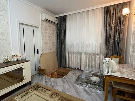 2 otaqlı köhnə tikili - Memar Əcəmi m. - 55 m²
