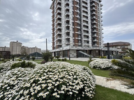 Elan №6106917 - Bakı, Koroğlu m., 3 otaqlı, 110 m², 9/17 mərtəbə