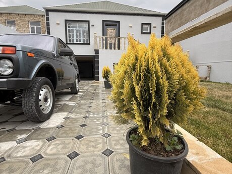 4 otaqlı həyət evi/bağ evi - Binə q. - 120 m²