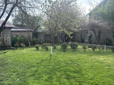 4 otaqlı həyət evi/bağ evi - Qəbələ - 240 m²