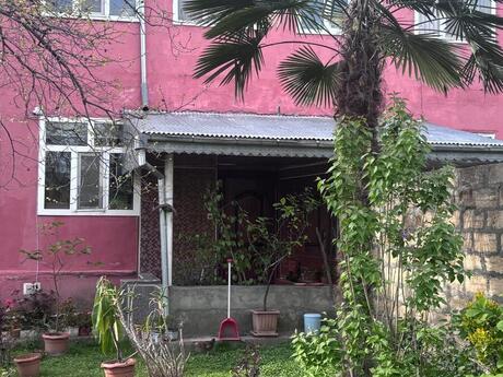 4 otaqlı həyət evi/bağ evi - Qəbələ - 240 m²