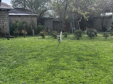 4 otaqlı həyət evi/bağ evi - Qəbələ - 240 m²