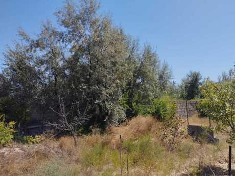 Torpaq - Sumqayıt - 10 sot