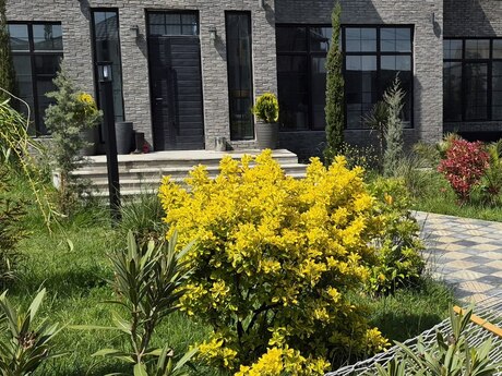 7 otaqlı həyət evi/bağ evi - Şüvəlan q. - 300 m²