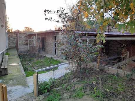 7 otaqlı həyət evi/bağ evi - Sumqayıt - 220 m²