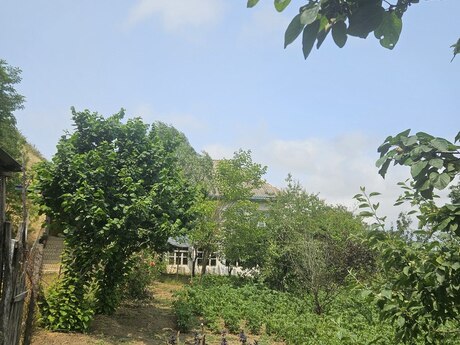 4 otaqlı həyət evi/bağ evi - Lerik - 196 m²