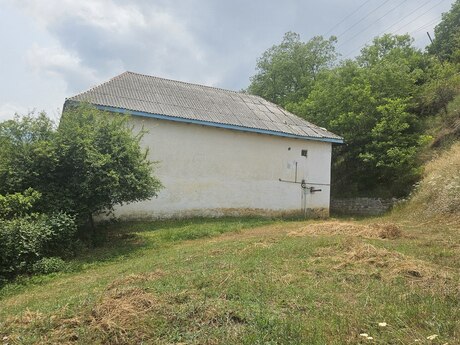 4 otaqlı həyət evi/bağ evi - Lerik - 196 m²