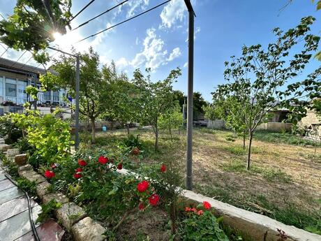 6 otaqlı həyət evi/bağ evi - Qaraçuxur q. - 170 m²