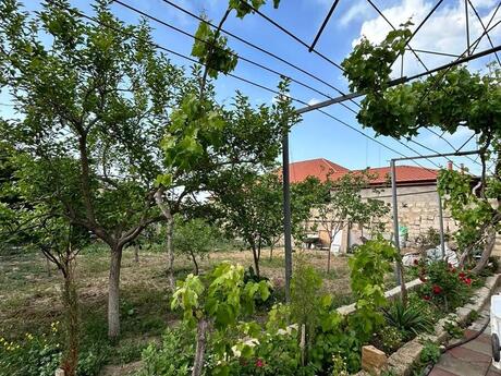 6 otaqlı həyət evi/bağ evi - Qaraçuxur q. - 170 m²