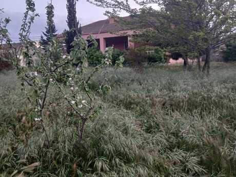 3 otaqlı həyət evi/bağ evi - Nardaran q. - 135 m²