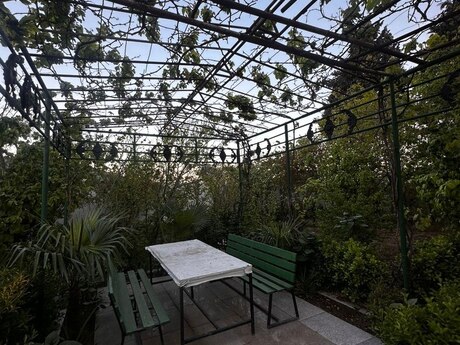 8 otaqlı həyət evi/bağ evi - Günəşli q. - 200 m²