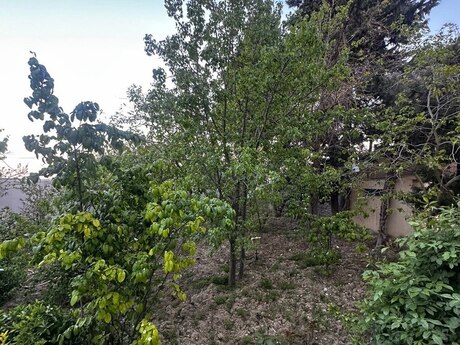 8 otaqlı həyət evi/bağ evi - Günəşli q. - 200 m²