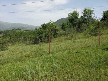 Torpaq - Şamaxı - 12 sot