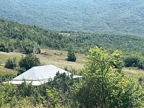 Torpaq - Şamaxı - 12 sot